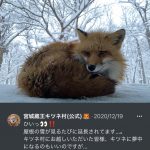 レス19番の画像サムネイル