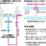 レス1番のサムネイル画像