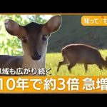 レス1番のサムネイル画像