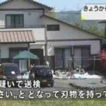 レス1番のサムネイル画像