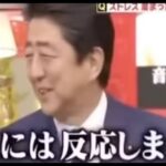 レス23番のサムネイル画像
