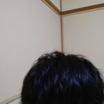 レス20番のサムネイル画像