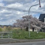 レス29番のサムネイル画像