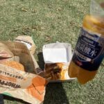 レス16番のサムネイル画像