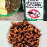 レス1番のサムネイル画像