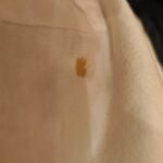 レス34番のサムネイル画像