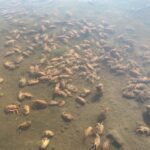 レス3番のサムネイル画像