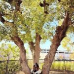 レス1番の画像1