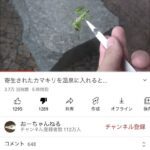 レス1番の画像1