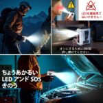 レス23番の画像3