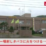 レス1番のリンク先のサムネイル画像