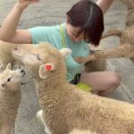 レス1番のリンク先のサムネイル画像