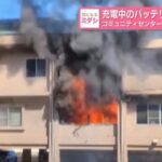 レス1番のリンク先のサムネイル画像