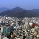 レス8番の画像1