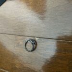 レス45番の画像1