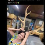 レス1番の画像6