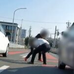 レス1番のリンク先のサムネイル画像