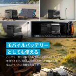 レス33番の画像3