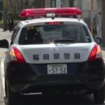 レス1番のリンク先のサムネイル画像