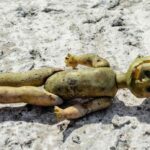 レス1番のリンク先のサムネイル画像