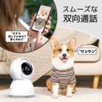 レス28番の画像3