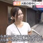 レス12番の画像1