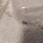 レス7番の画像1