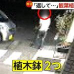 レス1番のリンク先のサムネイル画像