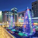 レス3番の画像6