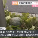 レス1番の画像3