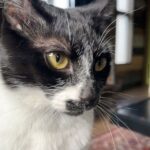 レス1番の画像3