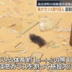 レス1番のリンク先のサムネイル画像