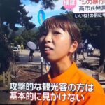 レス2番の画像1