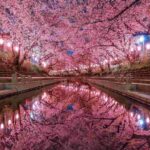 レス3番の画像4