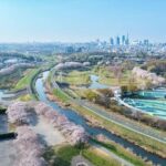 レス3番の画像12