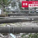 レス6番の画像1