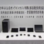 レス1番のリンク先のサムネイル画像