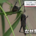 レス3番の画像3