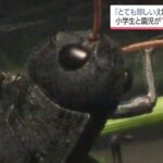 レス3番の画像4