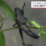 レス3番の画像2