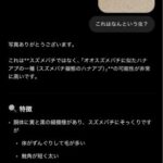 レス26番の画像1