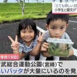 レス3番の画像5