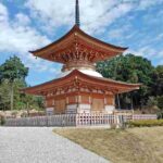 レス26番の画像1