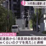 レス1番のリンク先のサムネイル画像