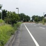 レス1番のリンク先のサムネイル画像