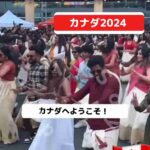 レス75番の画像2