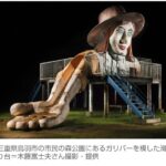 レス3番の画像1