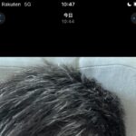 レス3番の画像1