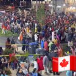 レス75番の画像5