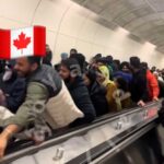 レス75番の画像3